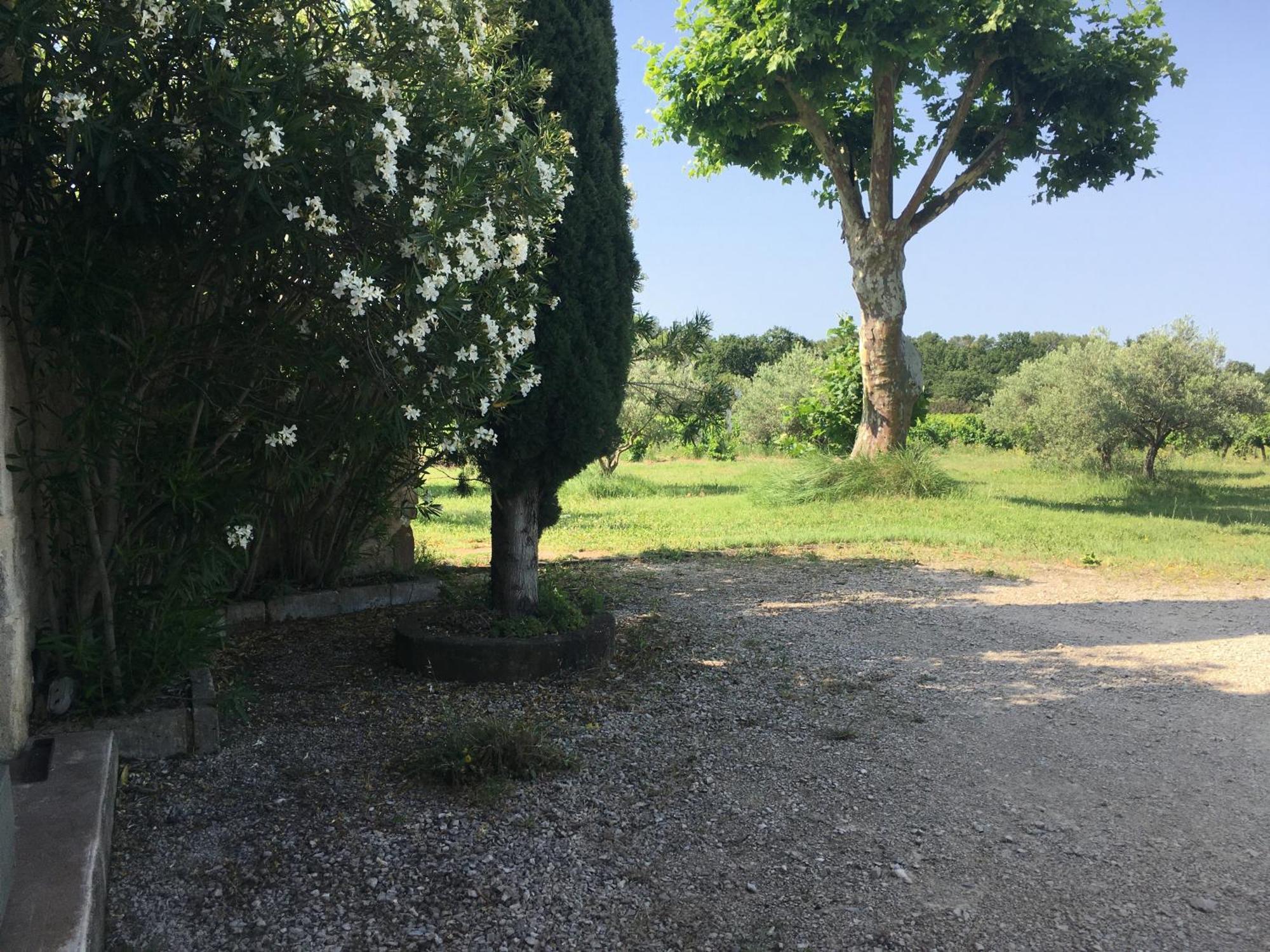 Gite Des Amis Domaine De Mas Caron Caromb Exterior photo
