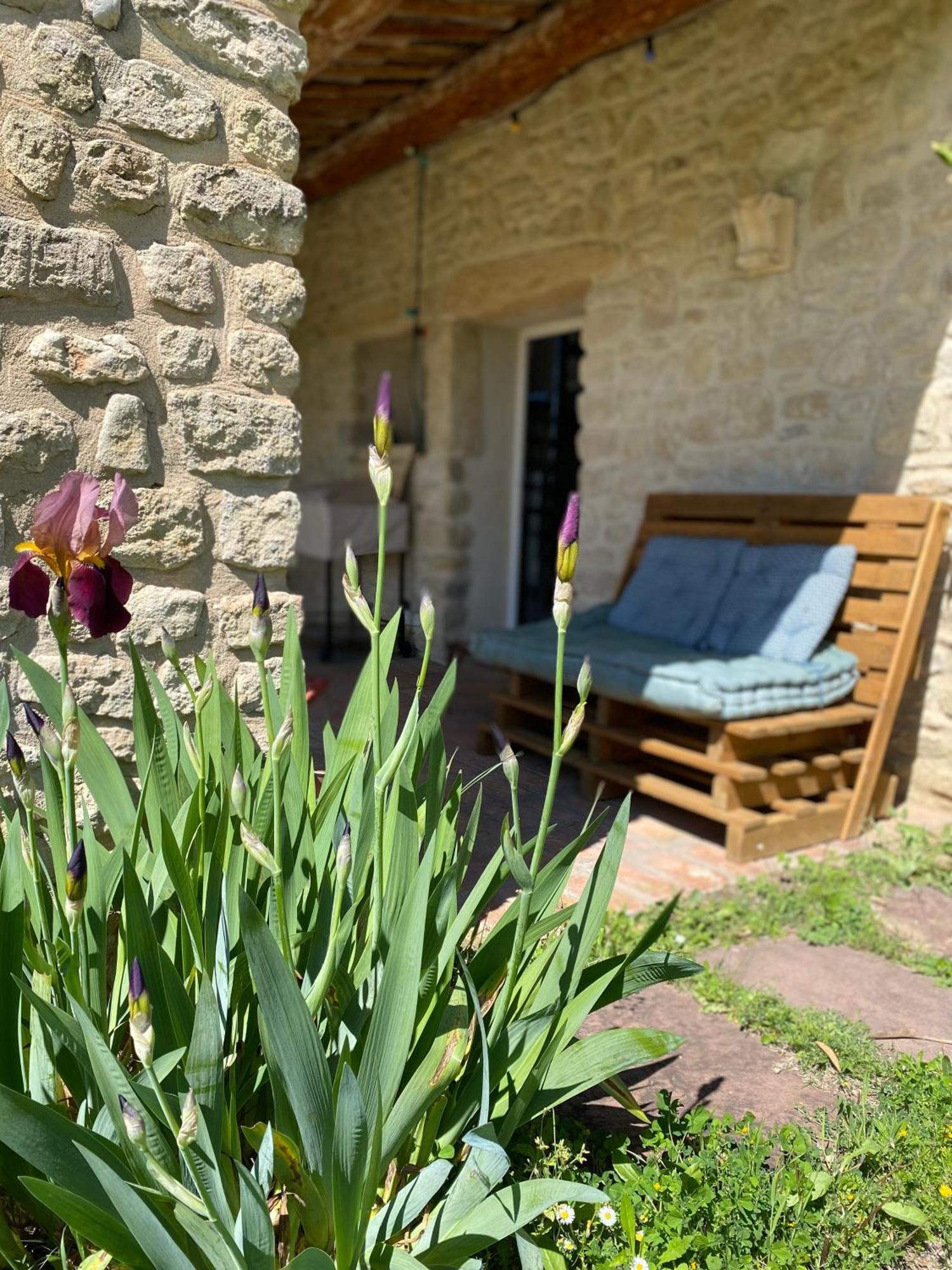 Gite Des Amis Domaine De Mas Caron Caromb Exterior photo